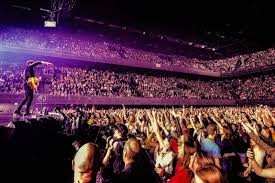 Ontdek de Diversiteit van Concerten in Amsterdam