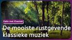 De Magie van Vrolijke Klassieke Muziek: Een Bron van Vreugde en Inspiratie