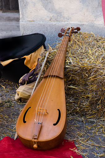 lijst van snaarinstrumenten