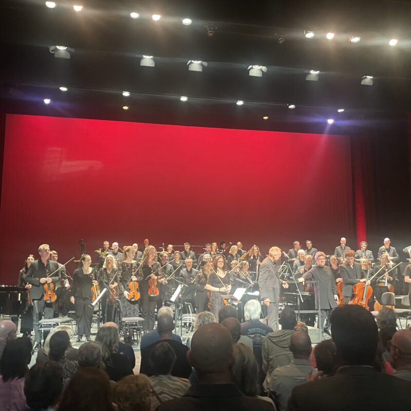 stef bos theater