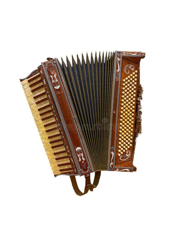 Knoppen accordeon: ontdek de klank, soorten en mogelijkheden van dit veelzijdige instrument